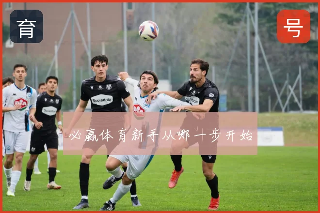必赢体育新手从哪一步开始